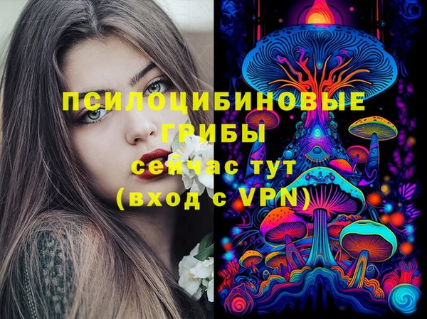 ALPHA PVP Армянск